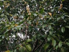 -杭州海华满陇度假酒店