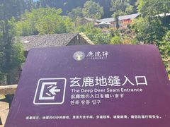 -鹿院坪生态旅游景区
