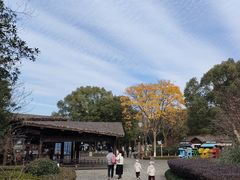 -西溪国家湿地公园