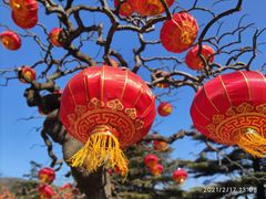 -香山公园