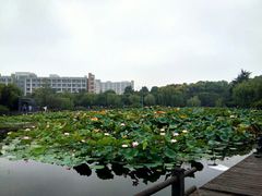 -杭州师范大学(下沙校区)