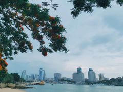 -鼓浪屿·皓月园