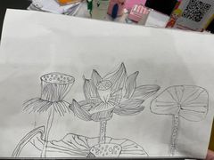 -大卫美术教育(中南路校区)