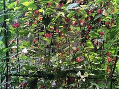 -不倒翁·徽天下名菜楼(马鞍山路店)