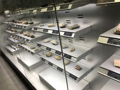 -中国地质大学逸夫博物馆