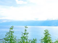 -大理洱海