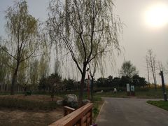 -东郊湿地公园
