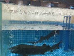 -福满我家大碗厨·湘菜(上海大厦店)
