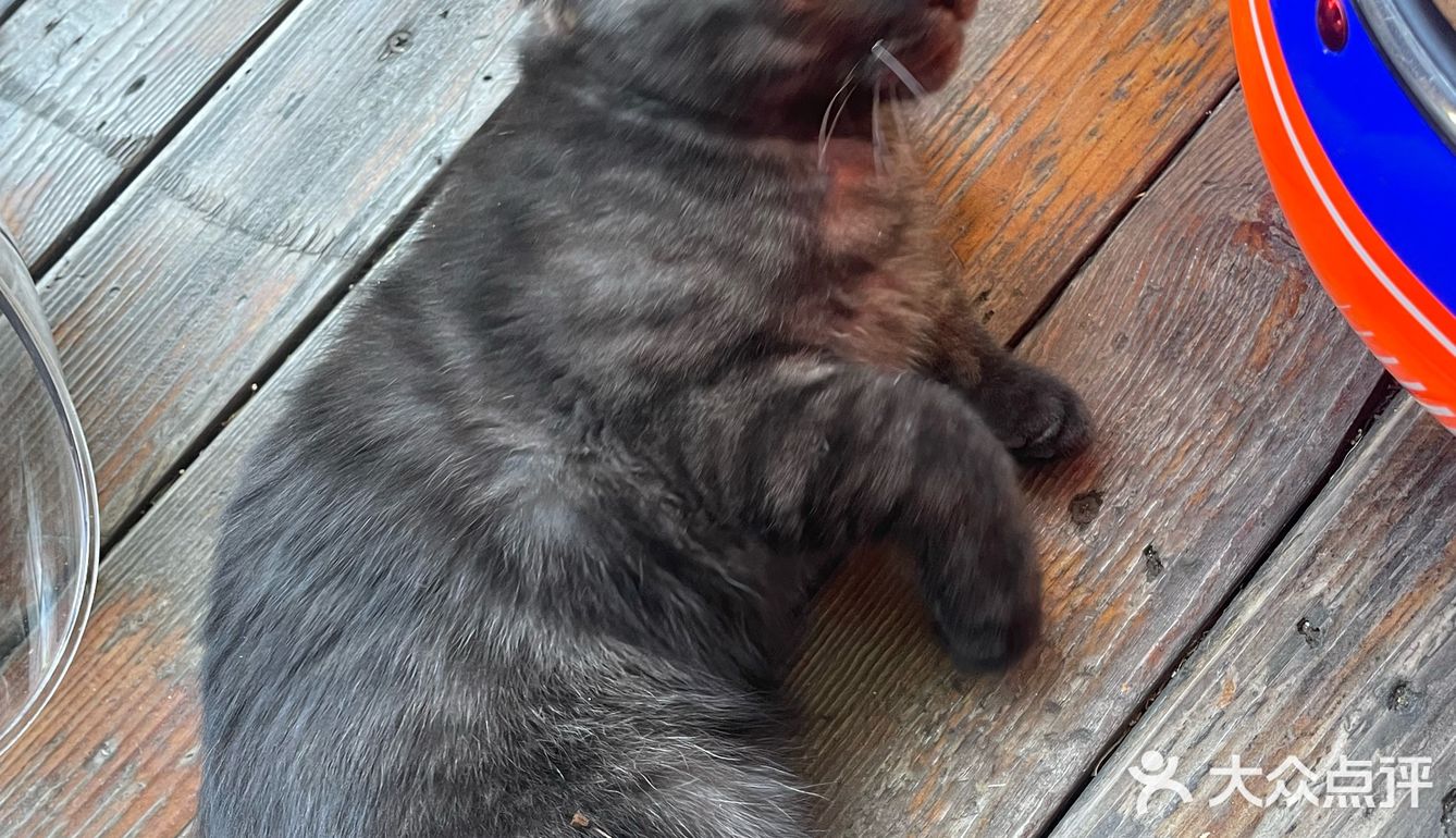 看海大花园拍照超出片