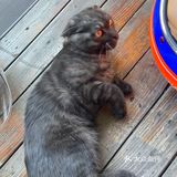 看海大花园拍照超出片