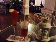 Spring&nbsp;Sling-Long Bar(莱佛士酒店)