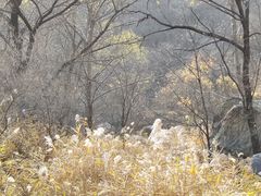 -灵溪风景区