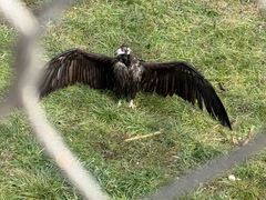 -鄂尔多斯野生动物园