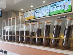 -雾与山茶(大禹城店)