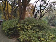 -东湖磨山景区