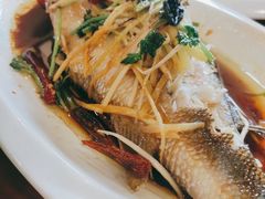 清蒸鲈鱼-满龙源餐厅(南十马路店)