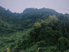 -东钱湖旅游度假区