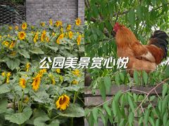 -三里河公园