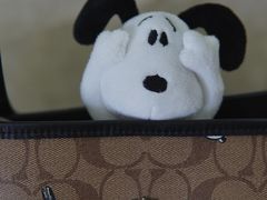 -COACH蔻驰(赛特奥特莱斯店)