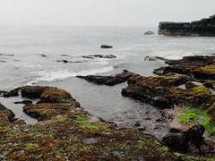 -洞里萨湖