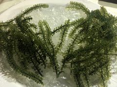 -越海渔村