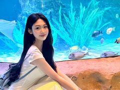 -沈阳海洋探索中心