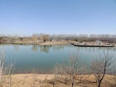 -东郊湿地公园