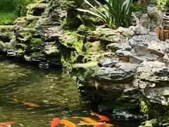 -广州白天鹅宾馆