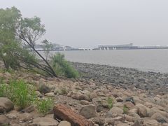 -吴淞炮台湾湿地森林公园烧烤区