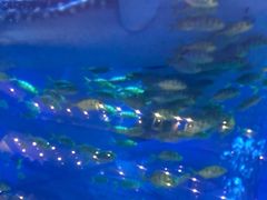 -成都浩海立方海洋公园