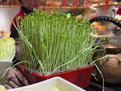 -番食园鲜食火锅(高新店)