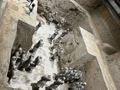 -秦始皇帝陵博物院(兵马俑)