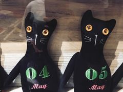 -猫咪博物馆(顶澳仔猫街店)