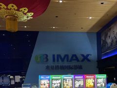-农垦博纳国际影城(津奥广场IMAX店)