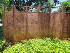-王借岗森林公园