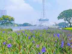 -文华公园(禅城区)