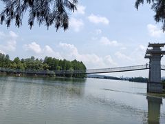 -东湖落雁景区