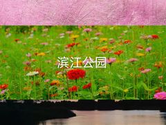 -如果·追梦手工皮具DIY教学店(田子坊店)
