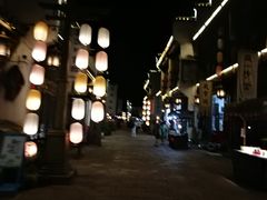 -婺源梦里老家大型山水实景演出