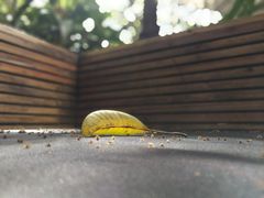 -JUKEBOX玖部音乐餐厅(华侨城店)