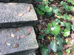 -宁波市保国寺古建筑博物馆