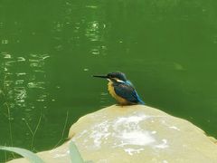 -人民公园(罗湖区)