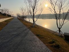 -羊山湖公园