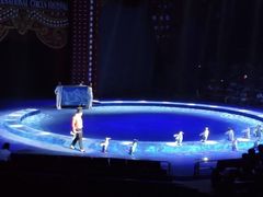 -珠海横琴长隆《卡卡虎奇遇记》