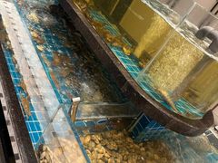 -杭州盛泰开元名都大酒店-地中海自助餐厅