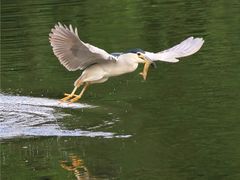 -重庆彩云湖湿地公园
