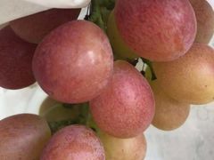 -马陆小张葡萄园农家乐