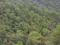-浏阳石牛寨风景区