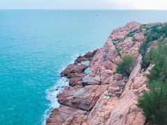 -广东惠东海龟国家级自然保护区