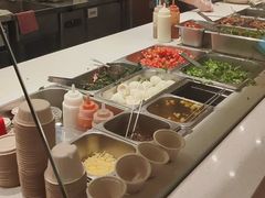 -油梨树 AVOCADO TREE(亮马桥店)